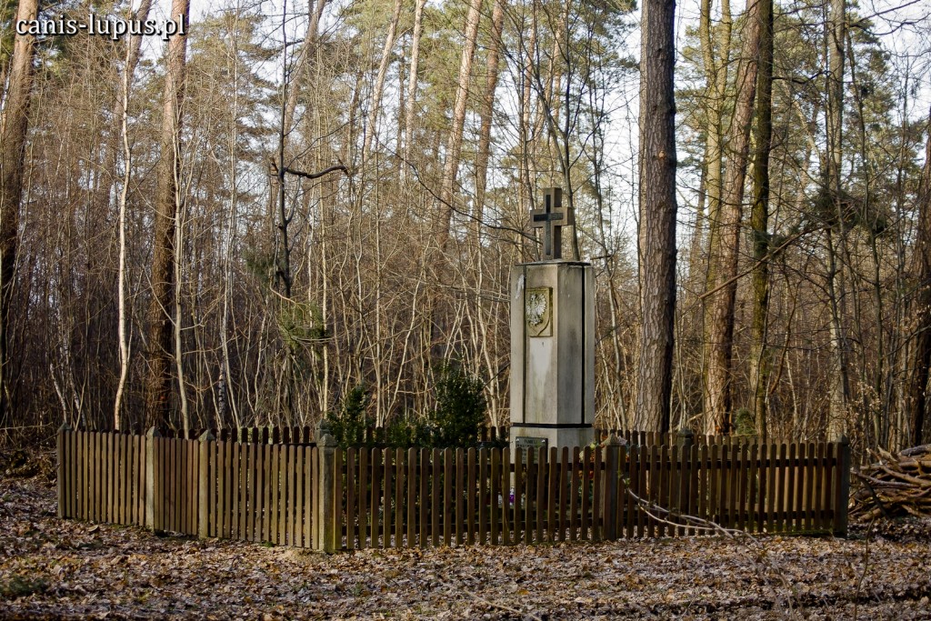 Pomnik w sieklewskim lesie