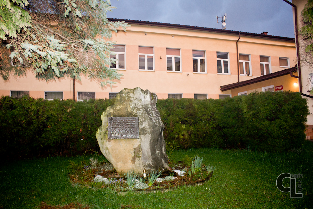 Pamiątkowy kamień ustawiony na placu przed szkołą w Szebniach